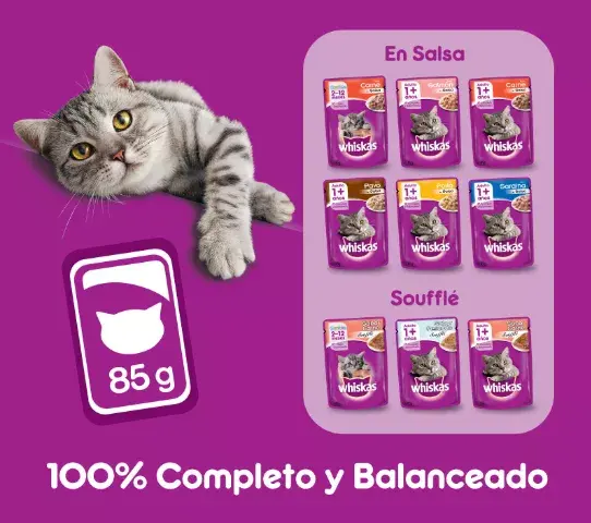 Los sobres de Whiskas contienen un 80% de humedad, lo que aporta hasta un tercio del agua que necesitan los gatos adultos.