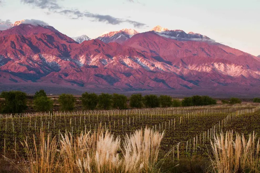 Día Mundial del Turismo, Mendoza
