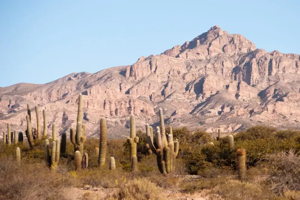 Valles Calchaquíes