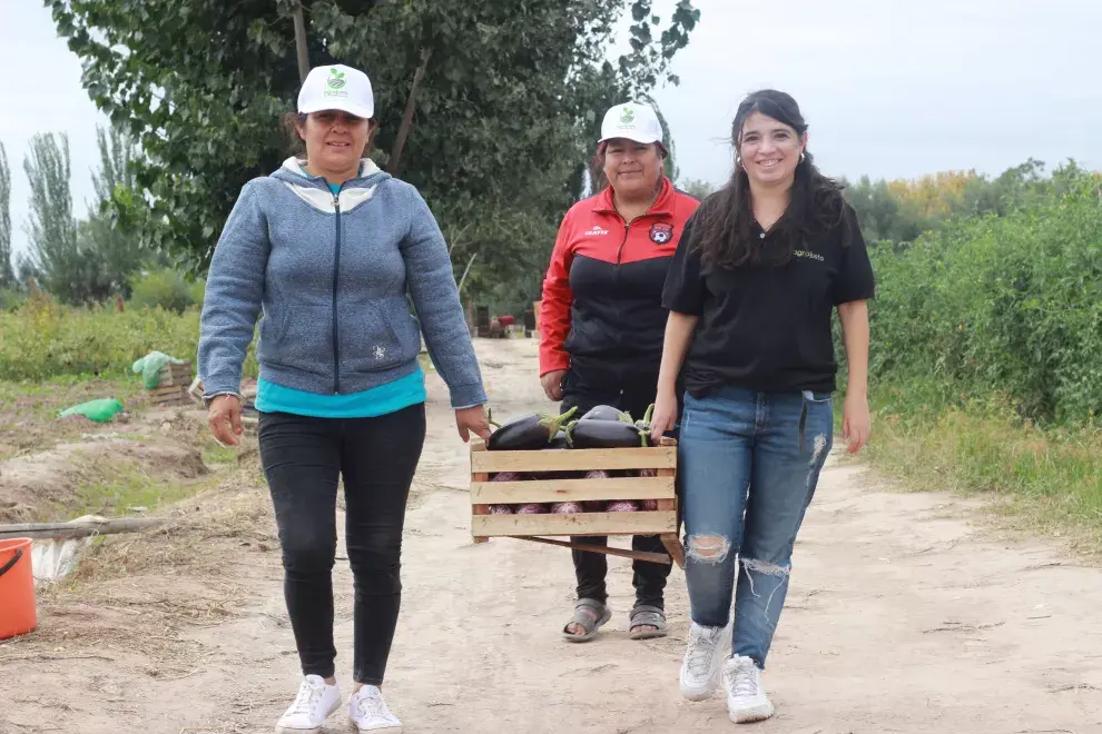 Agrojusto ayuda a conectar a productores de alimentos de todo el país. 