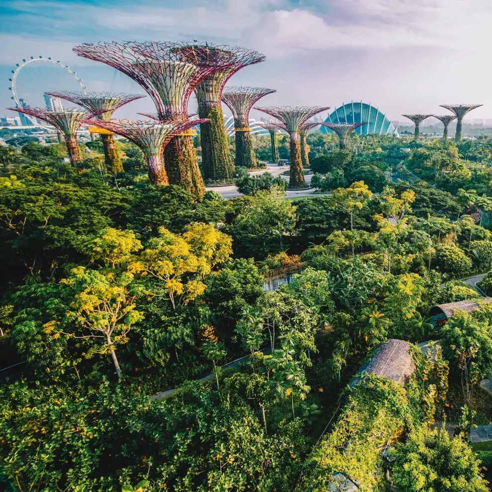 Gardens by the Bay visto desde las alturas