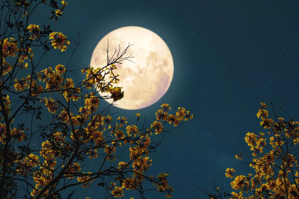 La luna llena de octubre se podrá ver este domingo 9.