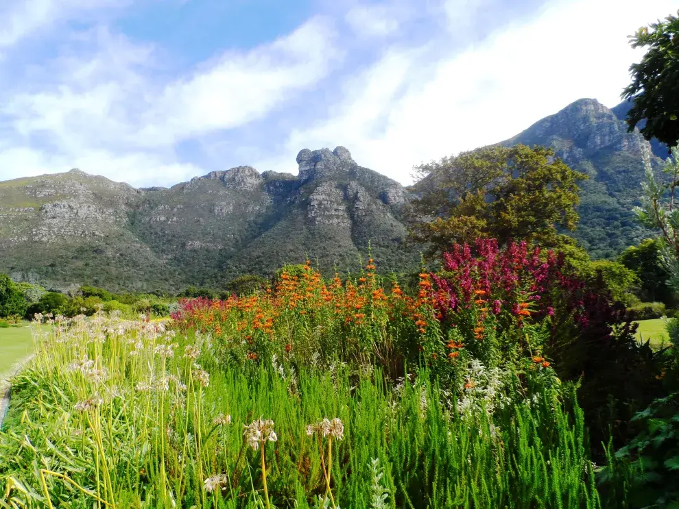 Jardín Botánico de Kirstenbosch, Sudáfrica