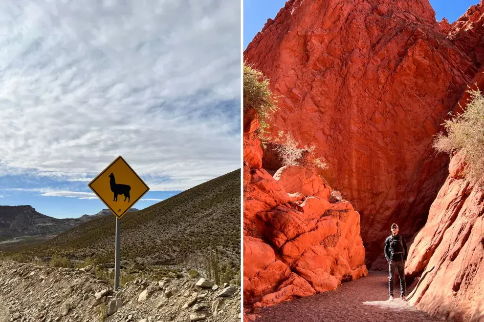 Cómo organizar tu roadtrip en la puna argentina.