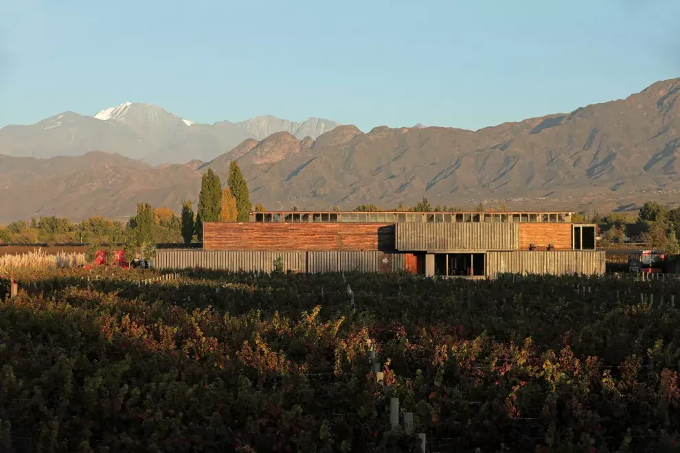 Maal Wines utilizó gran parte de material reciclado para su construcción.