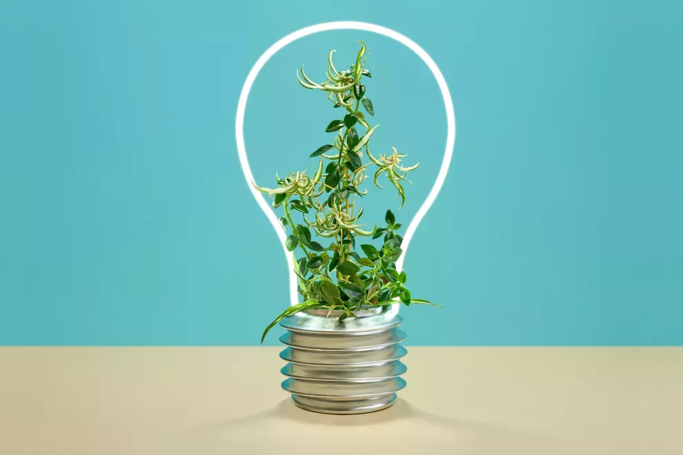 Arrancar "pensando en verde" puede hacerle toda la diferencia a tu emprendimiento.