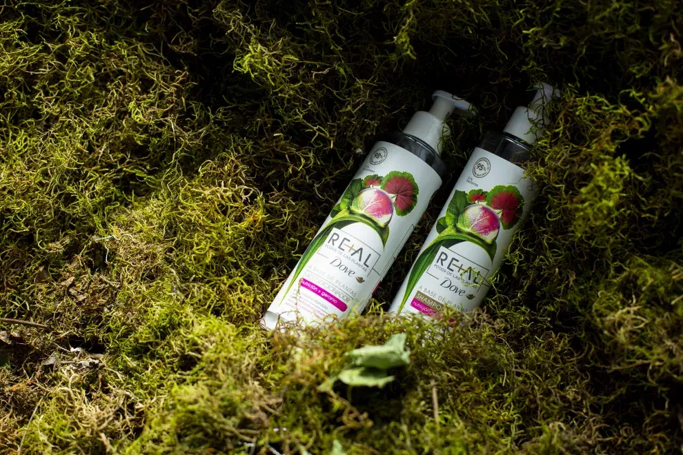 Dove presentó su nueva línea de cuidado de pelo Dove Real Poder de las Plantas conformada por tres variedades: geranio, jengibre y bambú