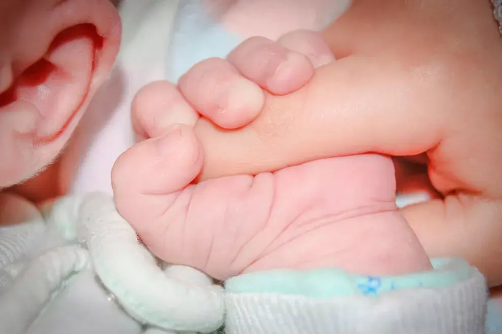 Reflejo de presión palmar o de agarre, uno de los más importantes del período neonatal.