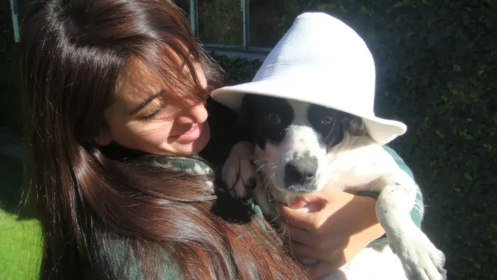 Los perros adoptados se llevan bien con los sombreros