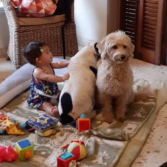 Los niños conectan de forma especial con los perros