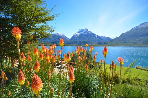 Por qué deberías visitar Bariloche en verano.