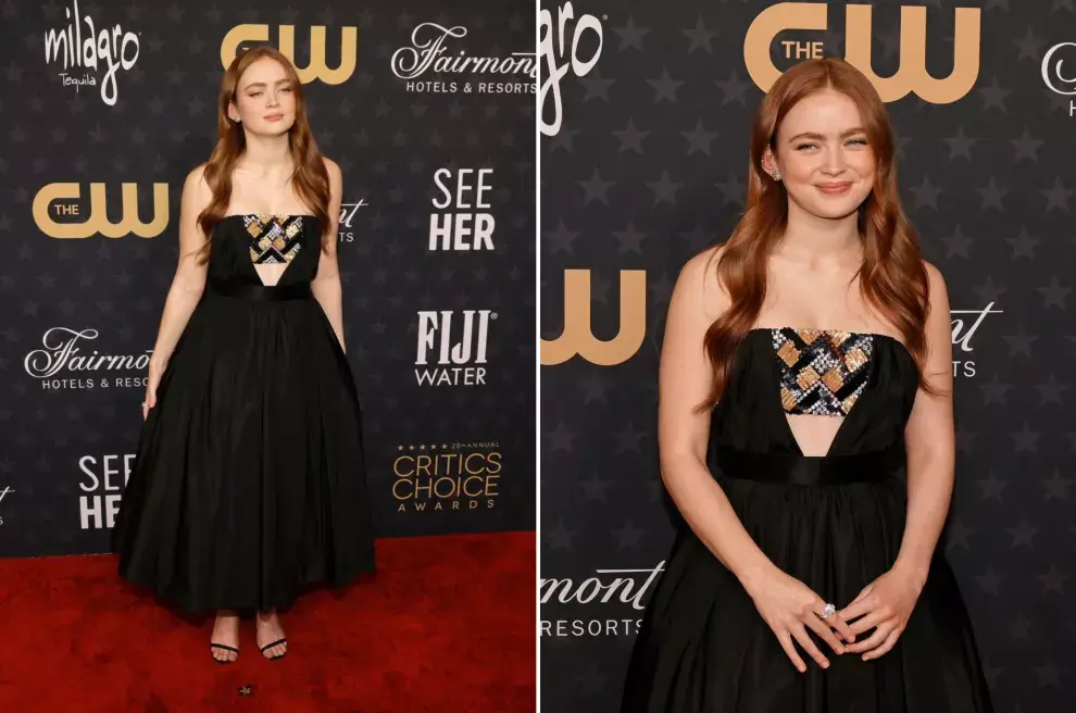 Conocida por su papel en Stranger Things, Sadie Sink es la protagonista de The Whale.