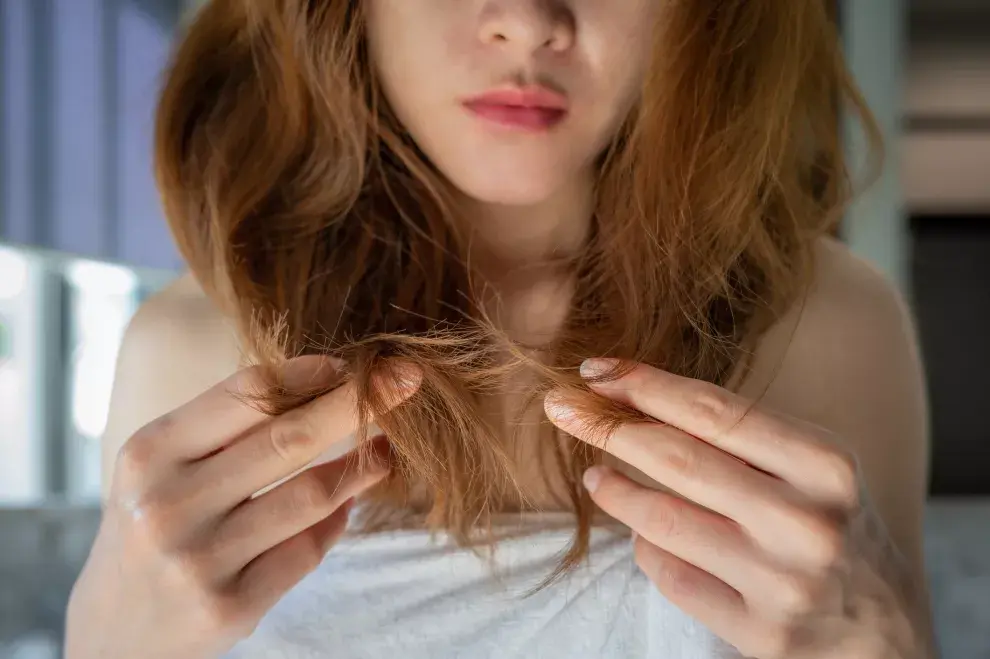 4 productos recomendados para el pelo seco.