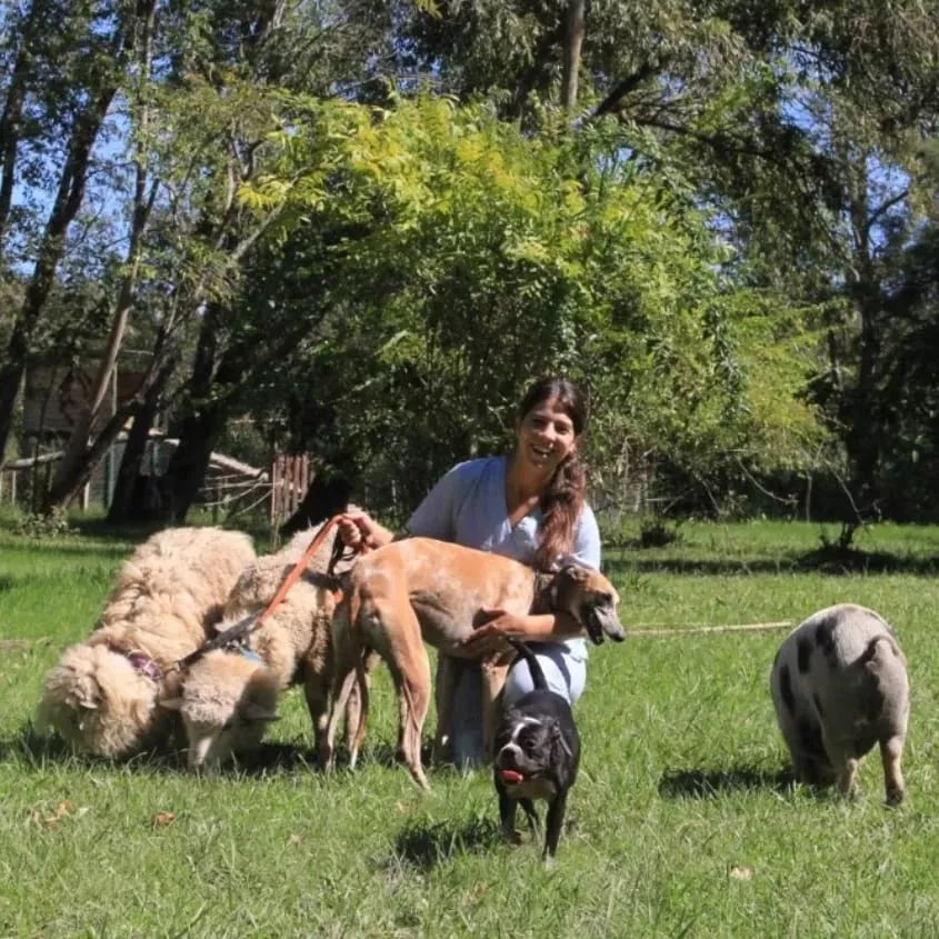 Leila, rodeada de su manada: su galga, algunas ovejas, la Chancha Chochi y una gata que no se ve en la foto.