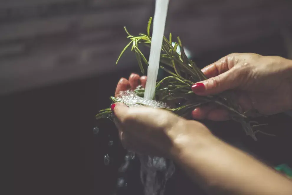 Cuáles son los beneficios del agua de romero.