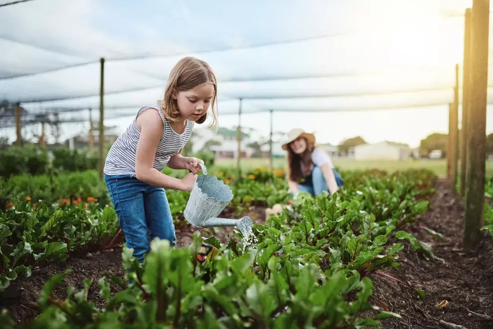 5 frases para criar hijos independientes.