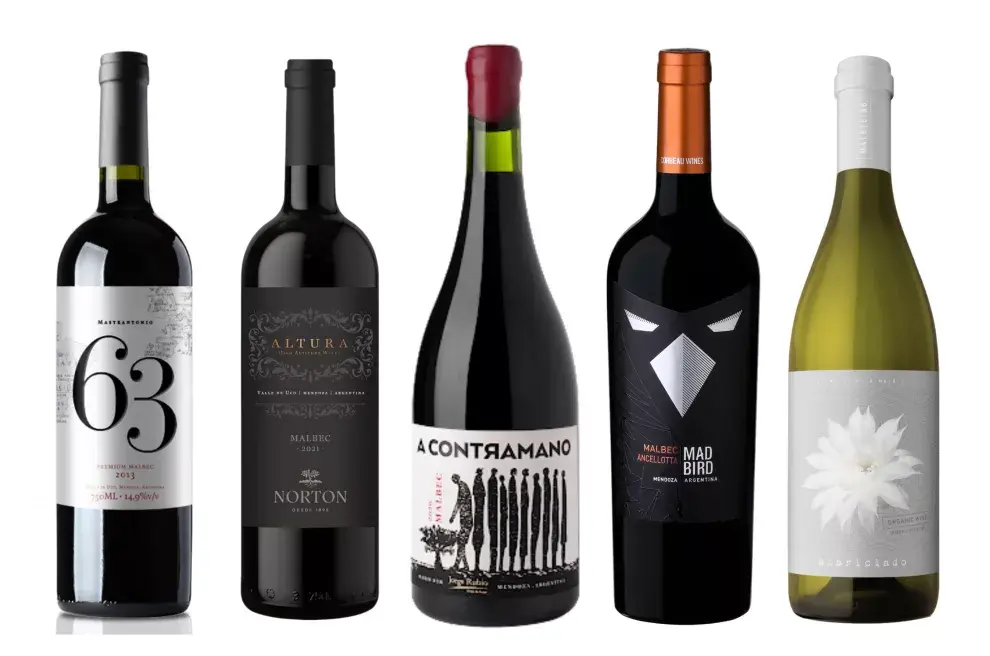 Día Mundial del Malbec: 5 etiquetas que vas a querer conocer.