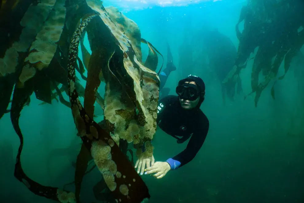 Su pasión por el océano la llevó a convertirse en una defensora de su importancia y a luchar por la protección de los tiburones.