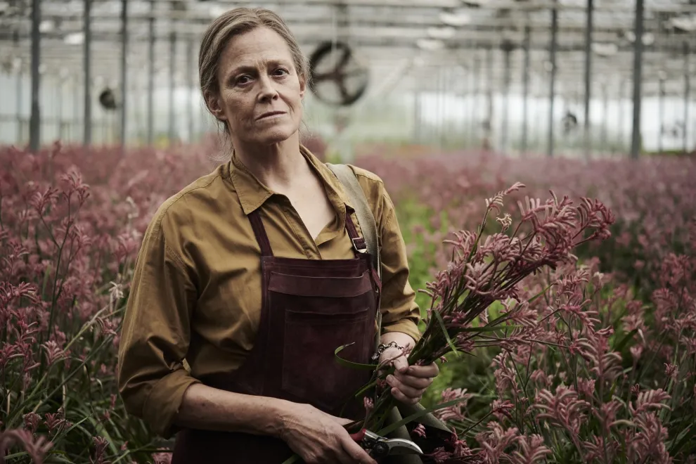 The Lost Flowers of Alice Hart estrenó en agosto en Amazon Prime Video.