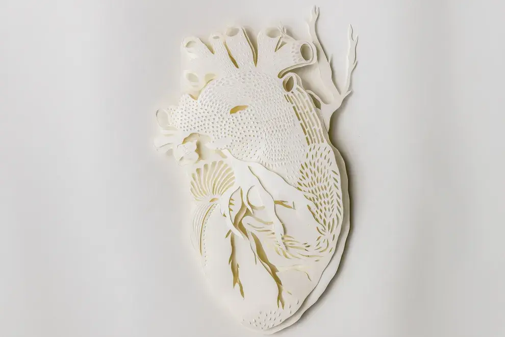 Papercut gentileza de Alicia Apesteguia (@calapapel).