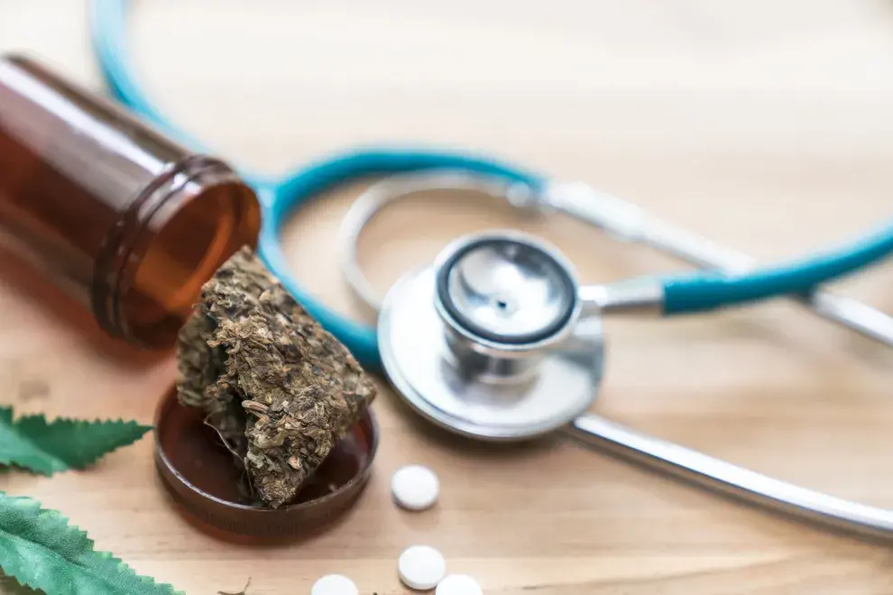 Cómo tramitar la licencia para producir cannabis legal.