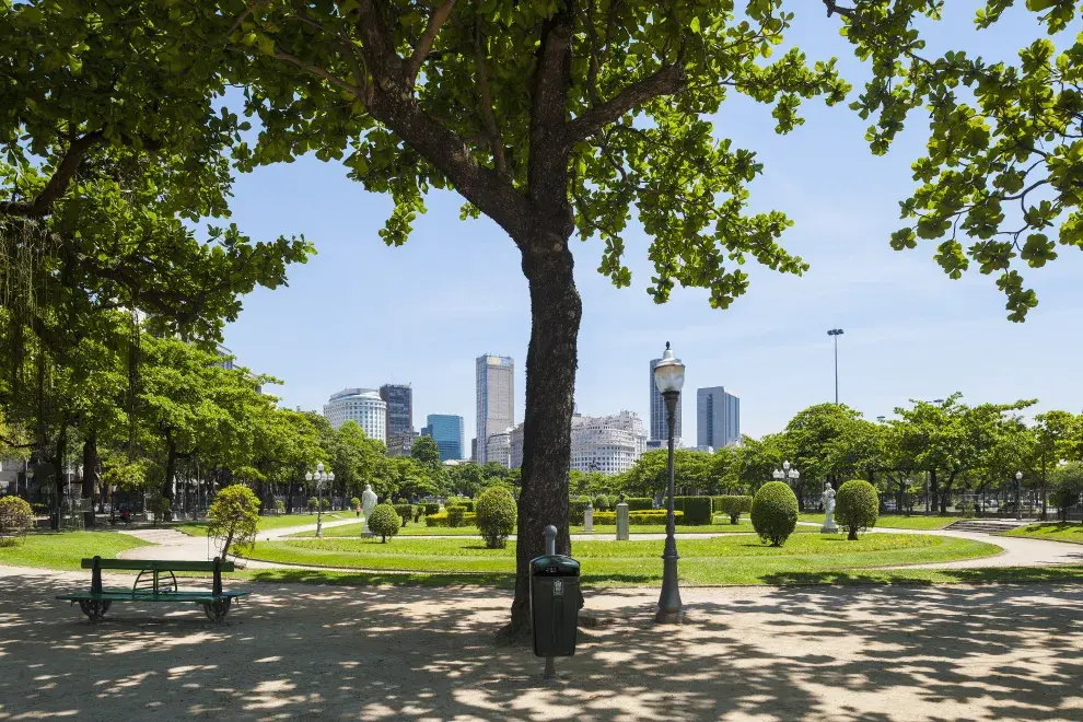 Cada 29 de agosto en Argentina celebramos el Día del árbol. Pero, ¿cuál fue el origen de esta celebración en nuestro país?