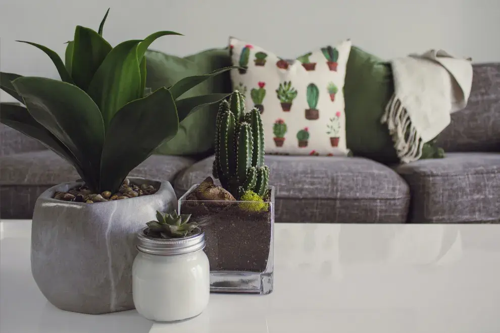  Toma fuerza una tendencia que vincula el hogar con la naturaleza.