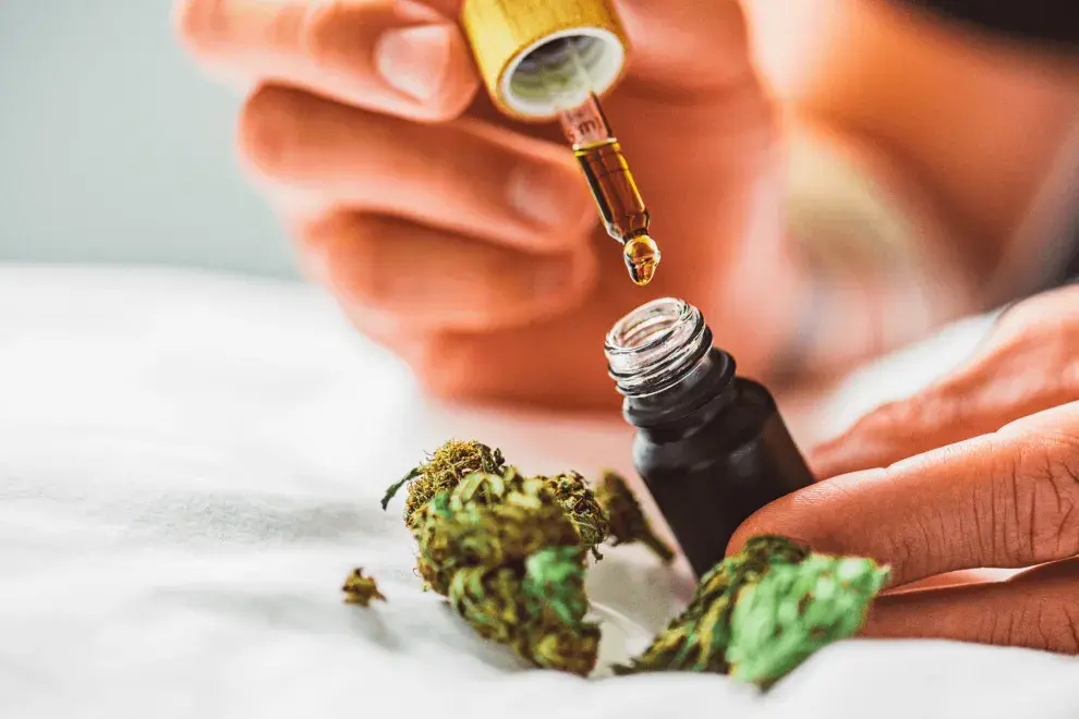 El Gobierno reglamentó la Ley de Cannabis: ¿qué se puede producir y consumir?