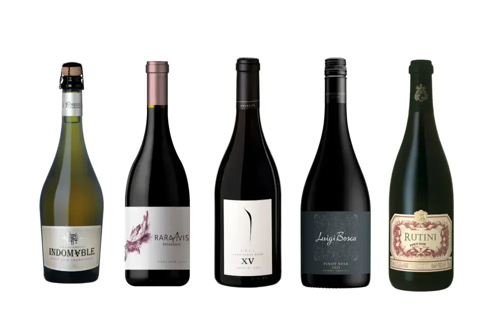 5 botellas de Pinot que nos copan.