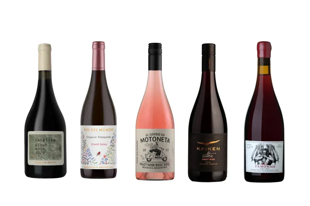 5 botellas de Pinot que nos copan.