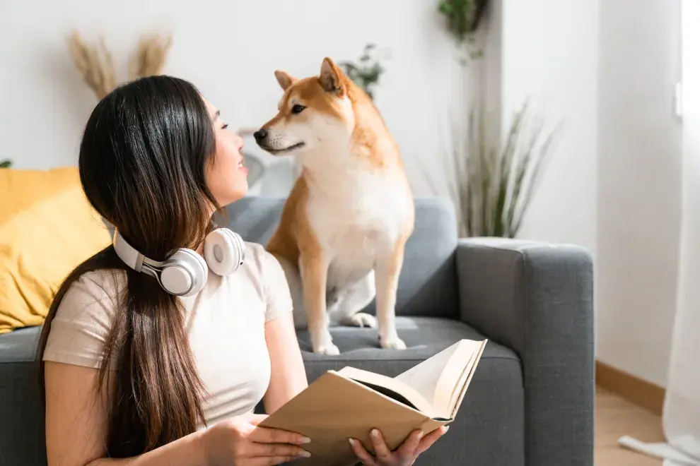 Qué raza de perro sos, según tu fecha de nacimiento.