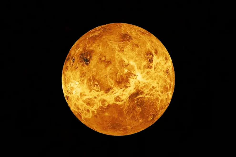 Venus en Virgo: cómo impacta a cada signo del Zodíaco.