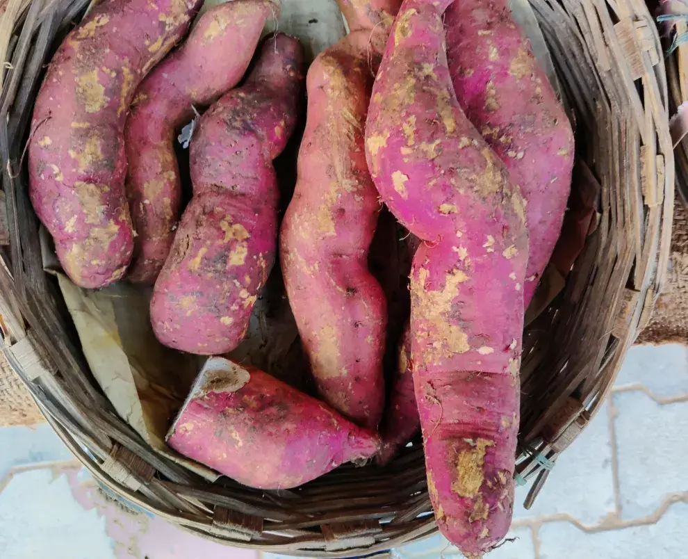 Ñame o batata: las propiedades de este tubérculo que no podés perderte.