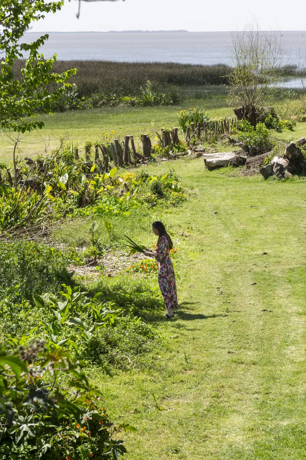 La vista del río desde el living; el paisaje que domina y el lugar en el que Chami busca hojas y plantas para decorar con un toque natural. 