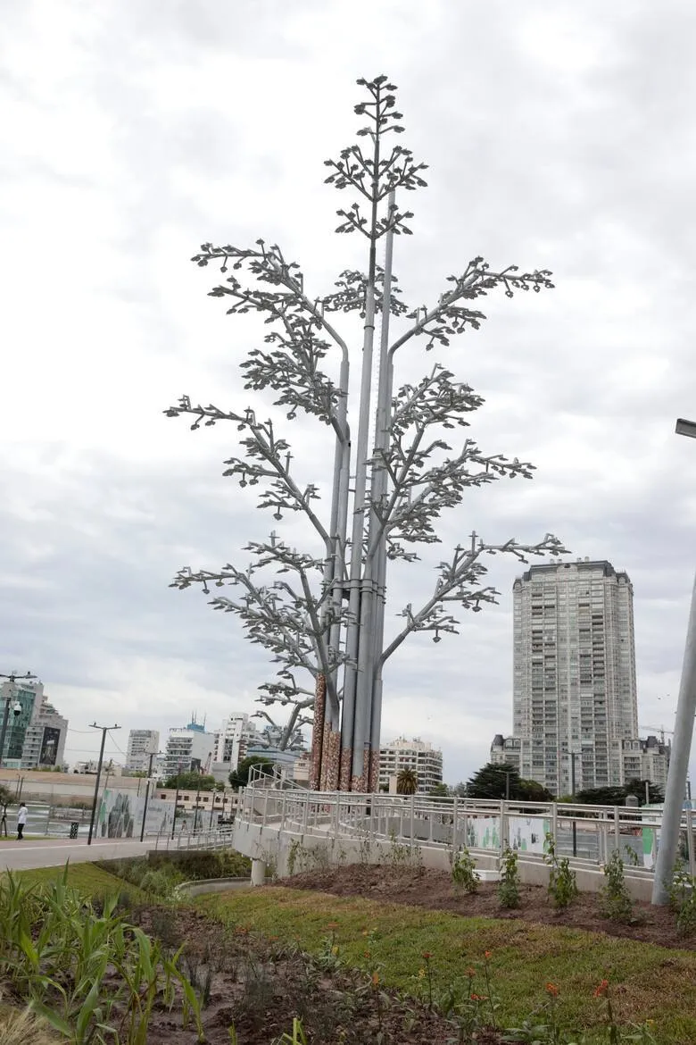 “Siempre pensé que lo más importante de un monumento es que tuviera una conexión y creo que en este momento el árbol es el máximo exponente del universo vegetal", Nicola Costantino. 