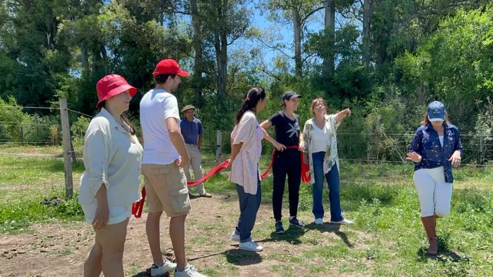 Pautar objetivos grupales: uno de los ejercicios para realizar en la jornada de coaching con caballos.