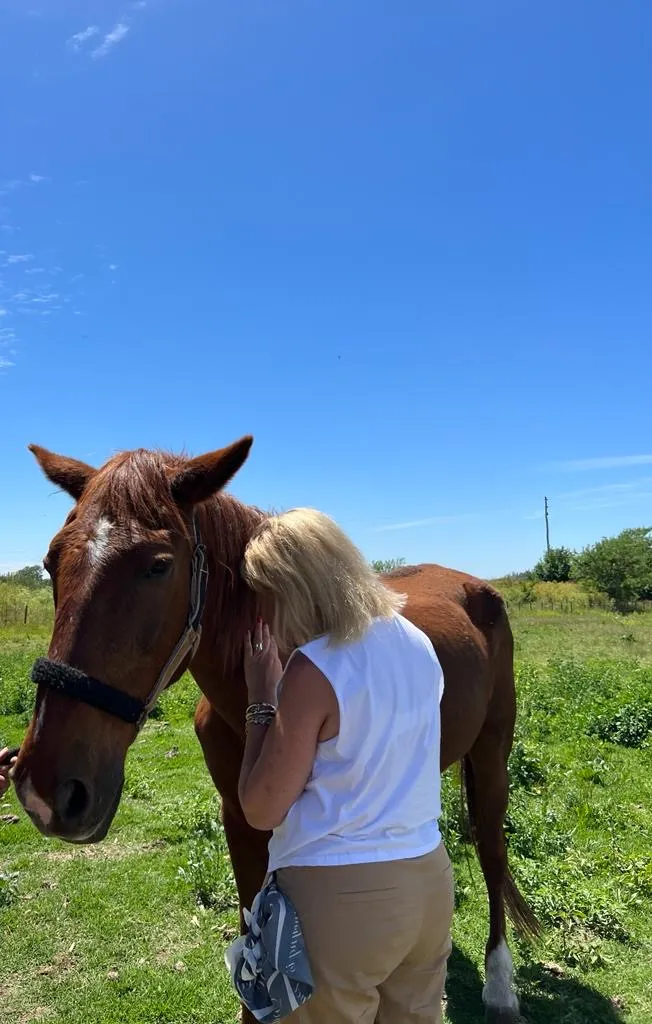 Conectar con los caballos con los ojos cerrados, una experiencia para explorar con el tacto y el olfato.