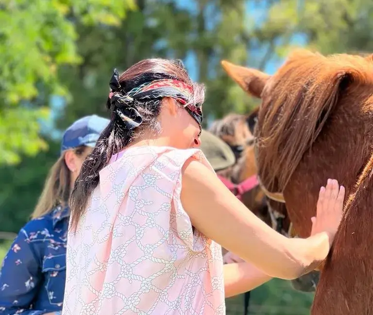 Coaching con caballos para desconectar de la ciudad y conectar con nosotros mismos y el entorno natural.