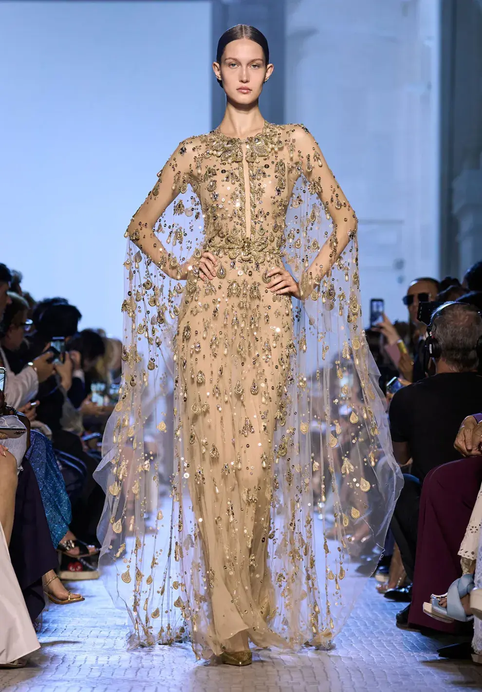 El vestido original de Elie Saab que usó Amanda Seyfried.