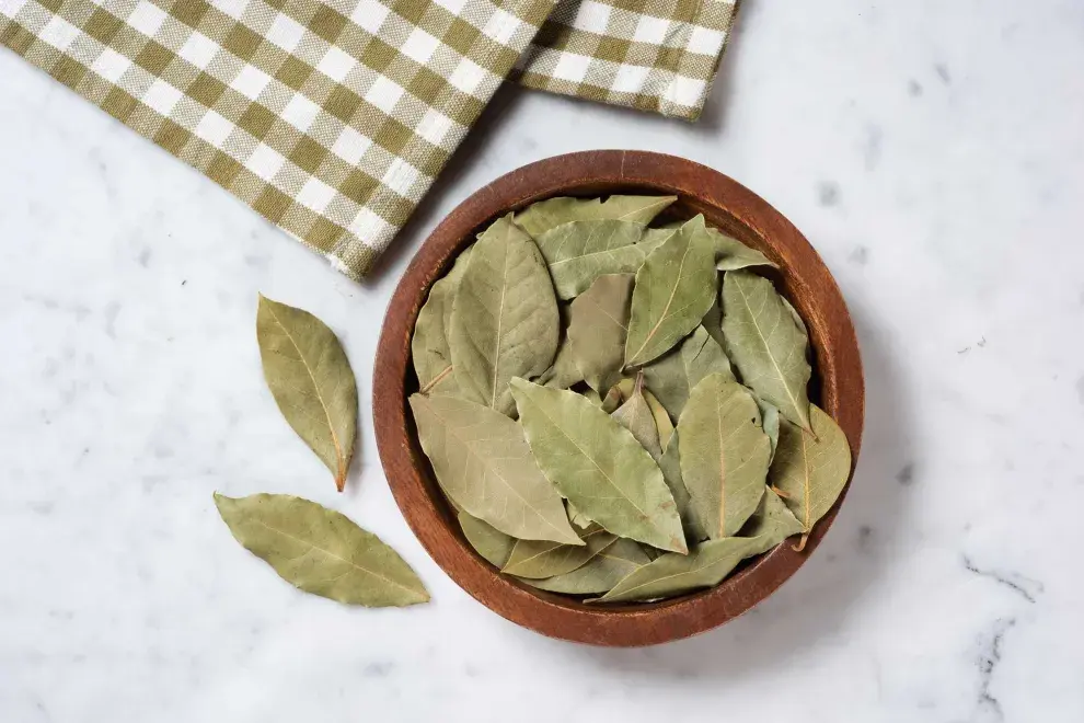 Colocar hojas de laurel dentro del horno es un método, cada vez más usado por los amantes de la limpieza y el orden. En esta nota, te contamos porqué es furor en el mundo entero.