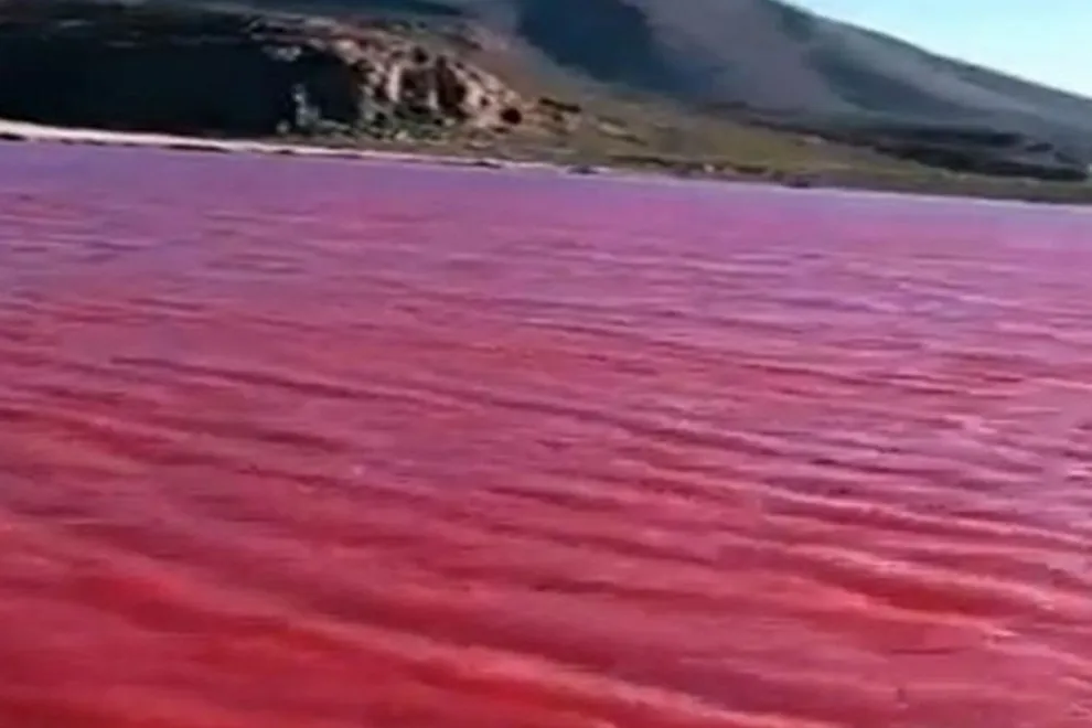 El río Nilo se tiñó de rojo.