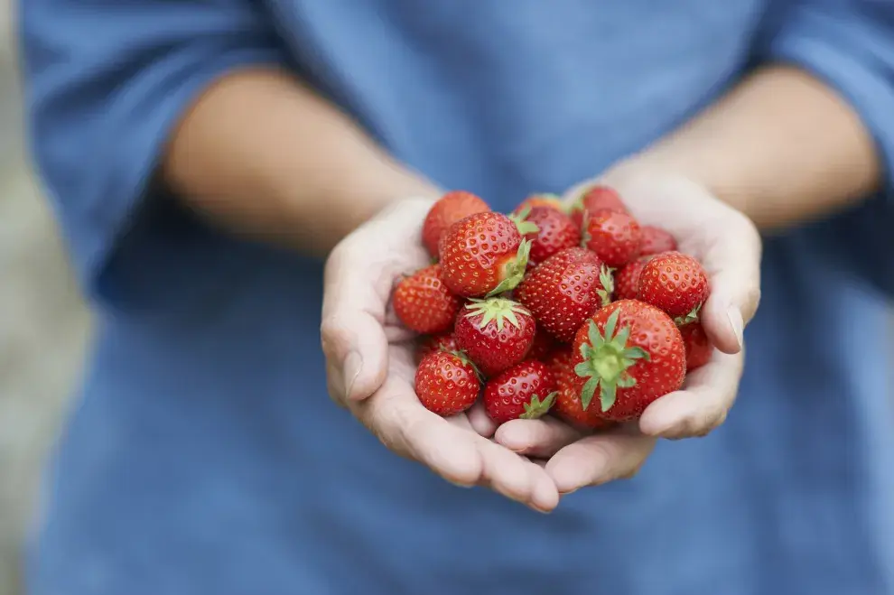 Las frutillas pueden acompañar cualquier colación del día.