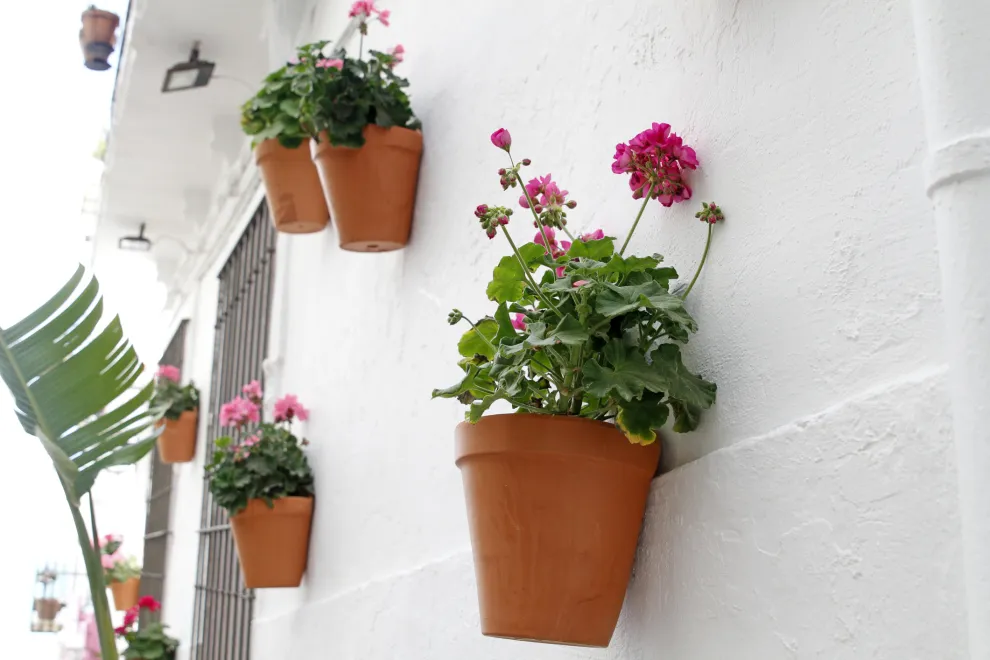 Decorar paredes con plantas y flores aporta un detalle fresco que enamora