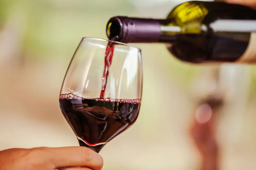 10 botellas para descubrir de Cabernet Franc.