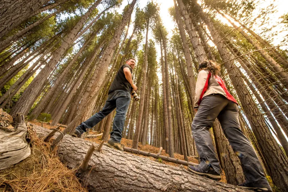 La Isla Victoria y el Bosque de Arrayanes son parte fundacional de Bariloche.