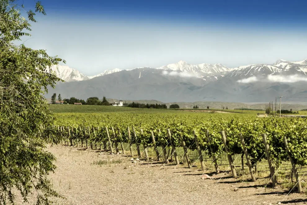 Mendoza quedó en el puesto número seis.