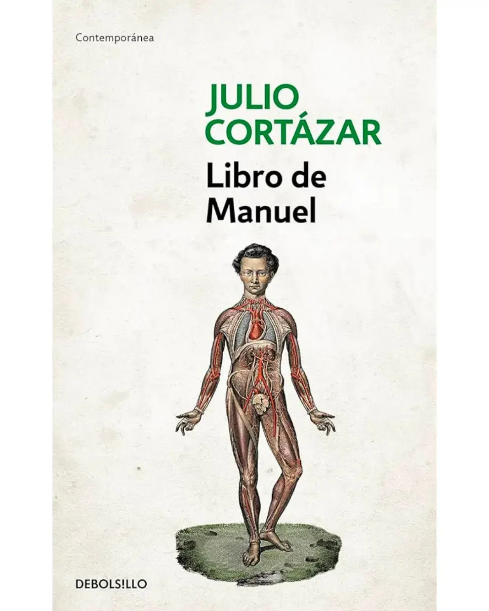 Libro de Manuel de Julio Cortázar se publicó en 1973.