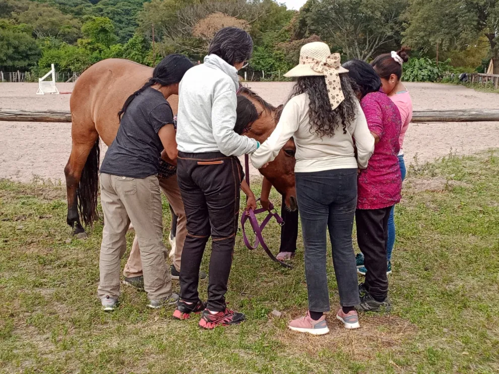 El caballo es un espejo de las emociones de las personas que conectan con él.