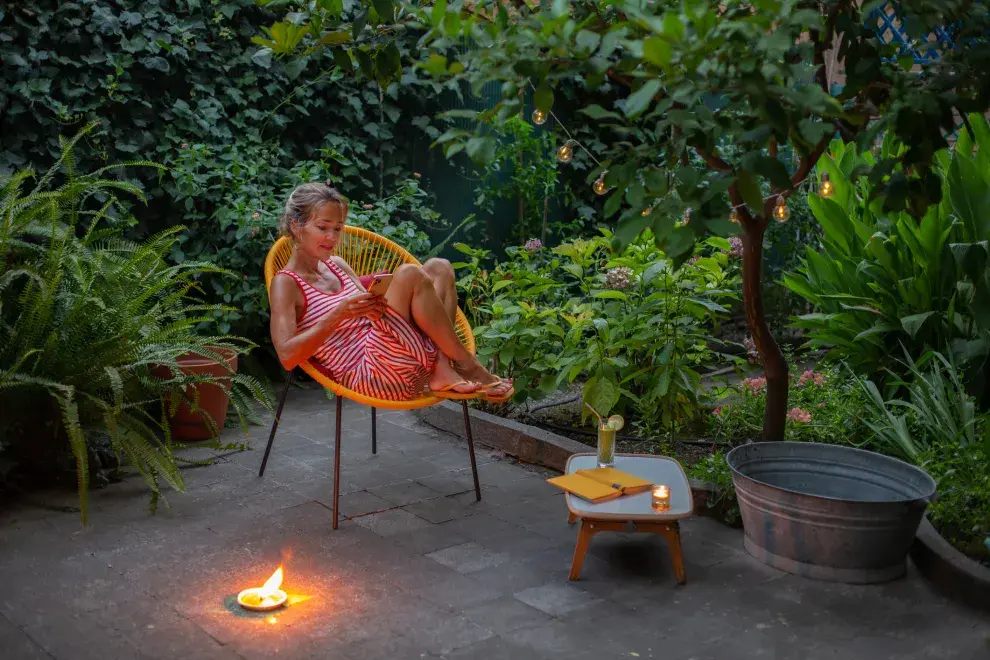 La planta citronela es fácil de cuidar, resiste amplitud térmica y es muy eficaz contra los mosquitos y moscas.