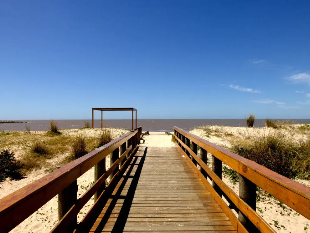 6 imperdibles si visitás Montevideo.